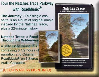 Cover-2flare-NTARTTW2.jpg
