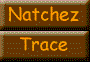 Trace.gif